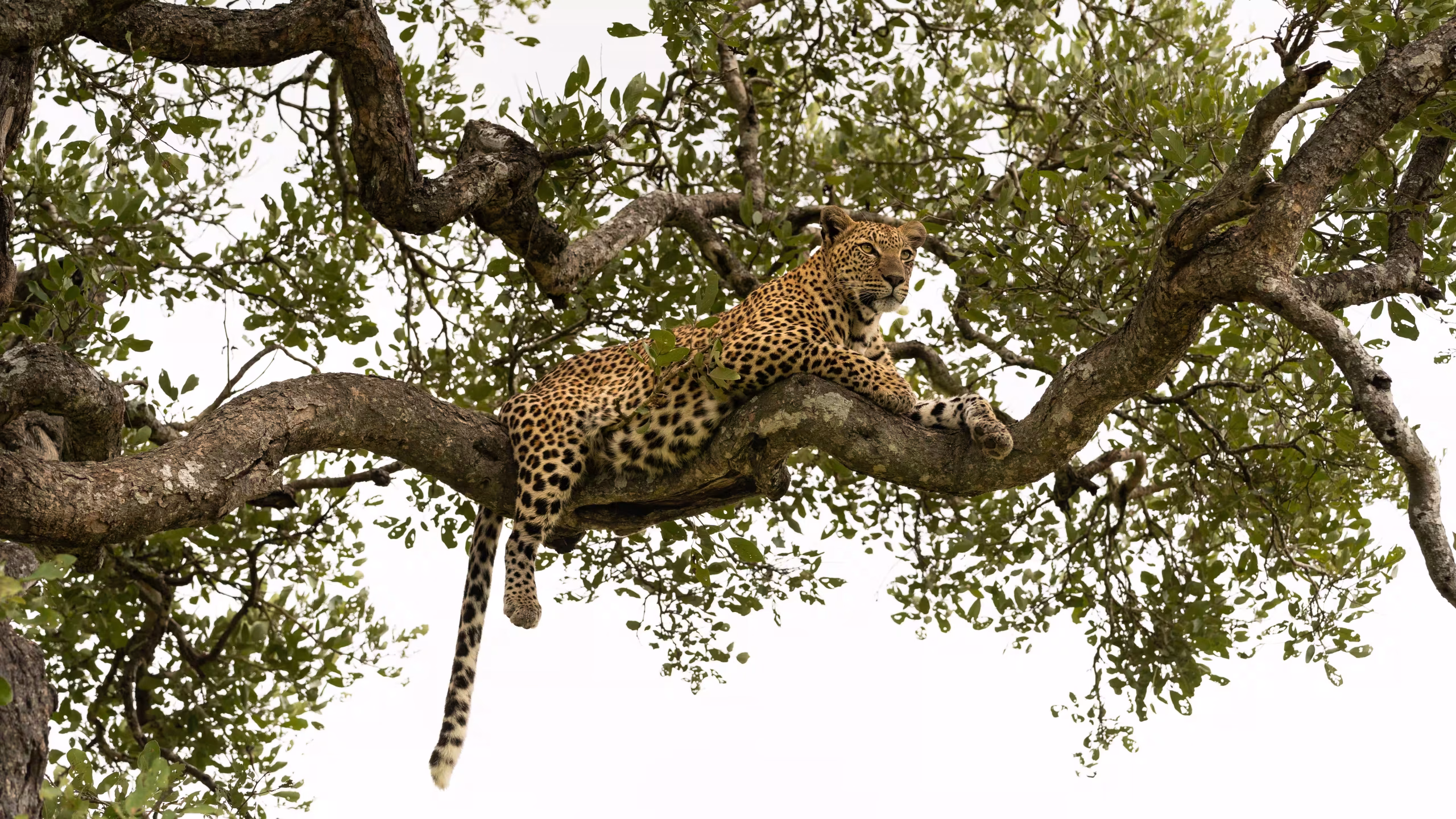 Day Trips from Arusha